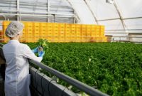 Hva er en agronom? Stillingsrolle, nødvendige ferdigheter og lønnsinnsikt